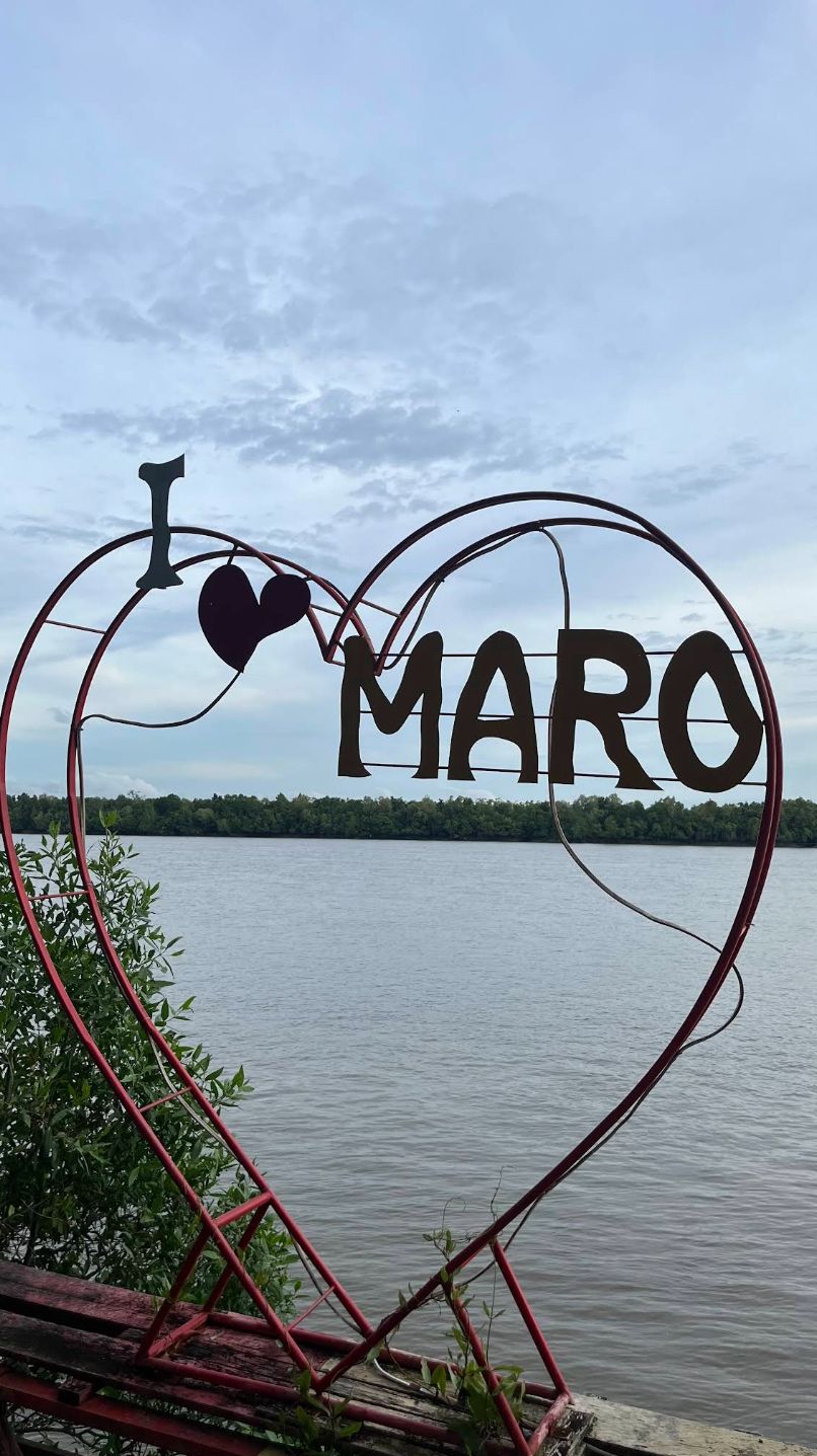 Galeri Mangrove Garden
