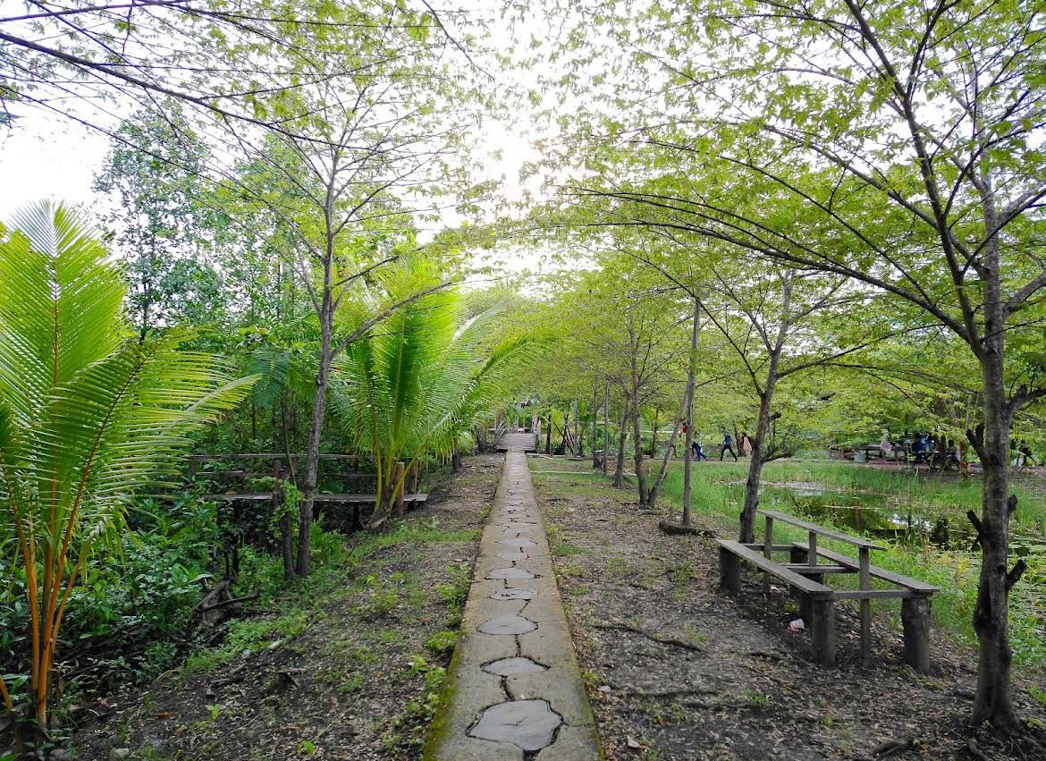 Galeri Mangrove Garden