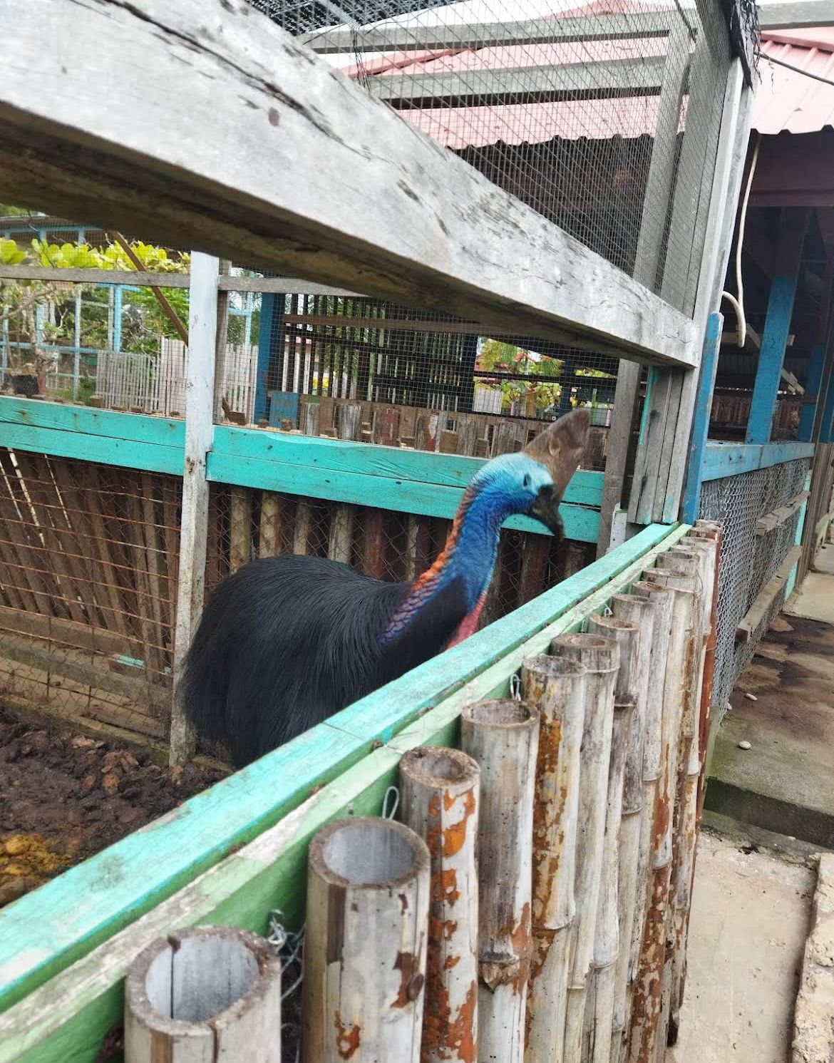 Galeri Taman Satwa Yamai Atid